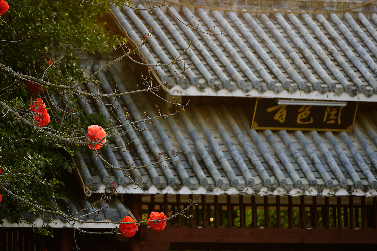 旅拍风光-城市美景在夕阳下