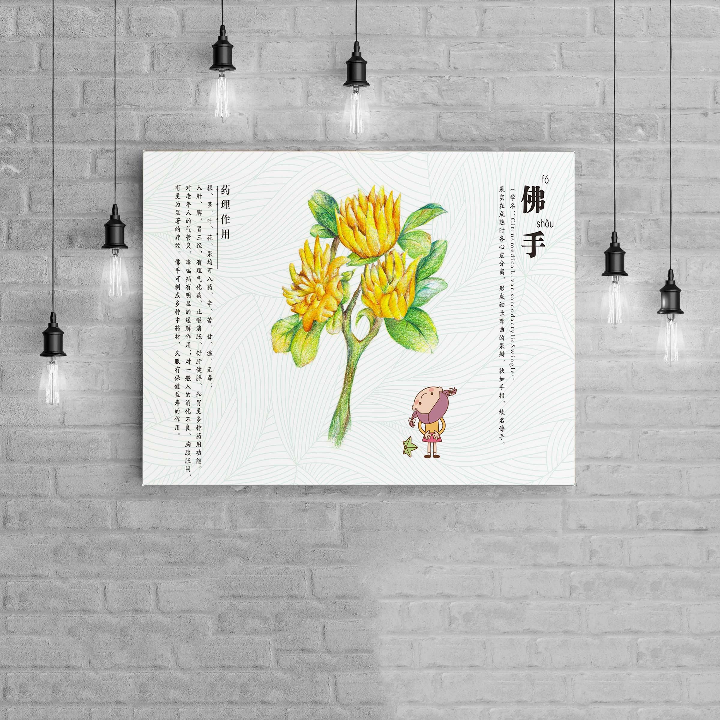 某小学中药基地海报