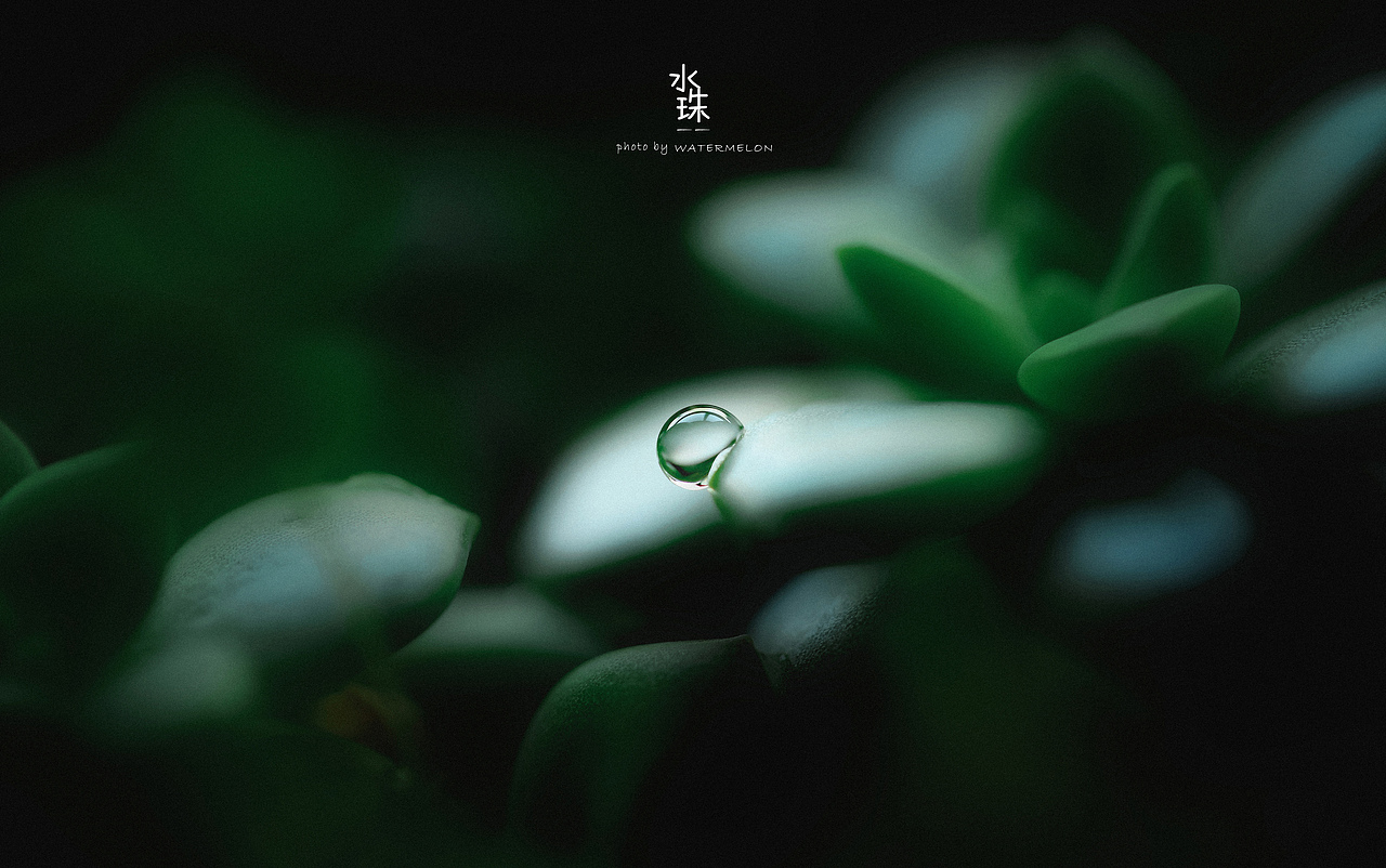 水珠
