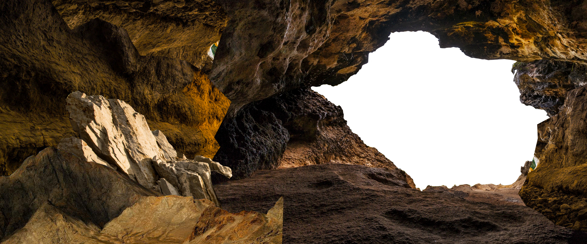 白酒类合成练习