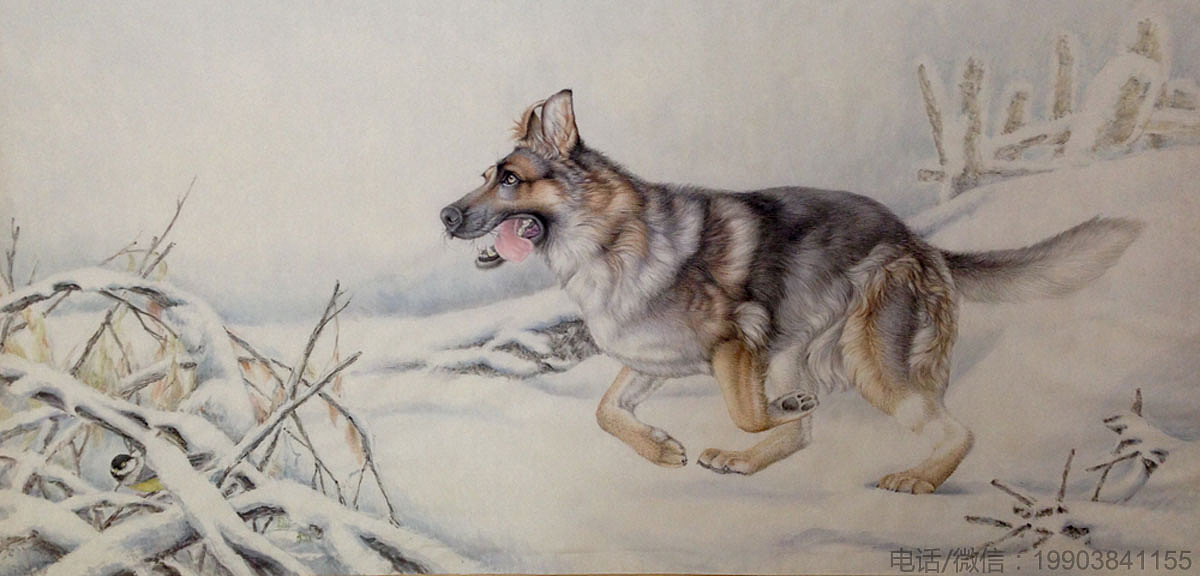 姜宏伟最新工笔动物画作品狼