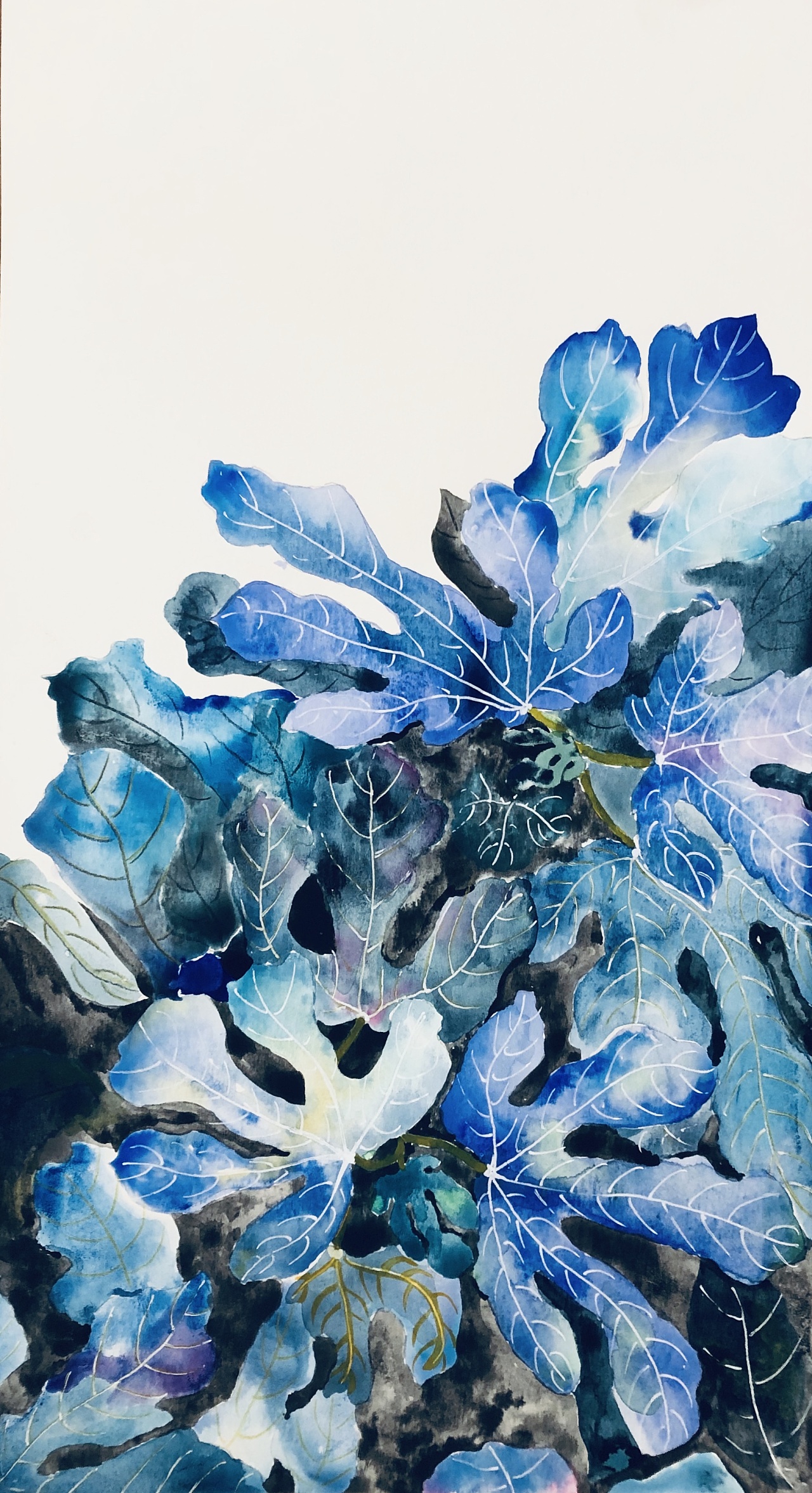 大胆的用色,相同的植物,不同的色彩表现