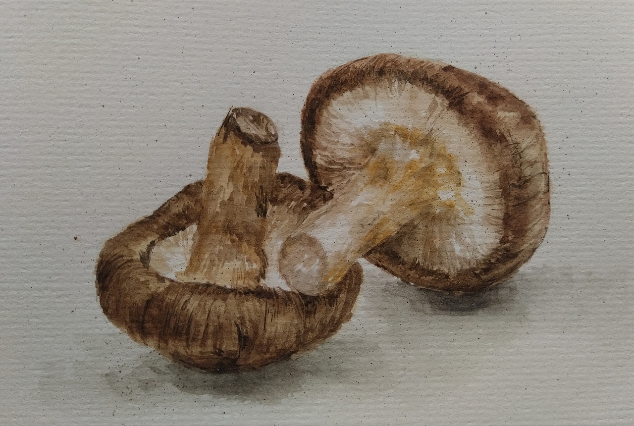 水彩蔬菜（图ZMjc4OTI1NTk2） - 绘画 - 站酷设计师胖女侠原创素材 - 站酷ZCOOL