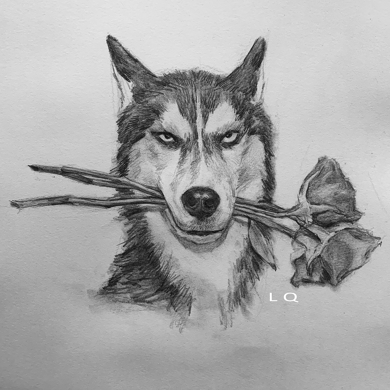 萌宠素描插画