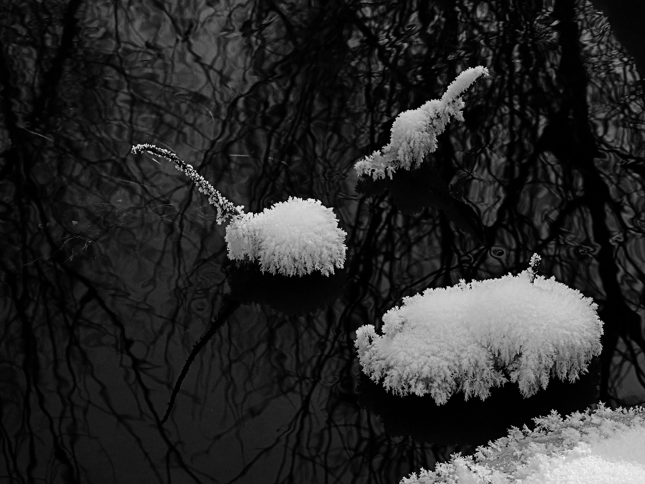 黑白之魅——穿越了色彩繁华的纯粹