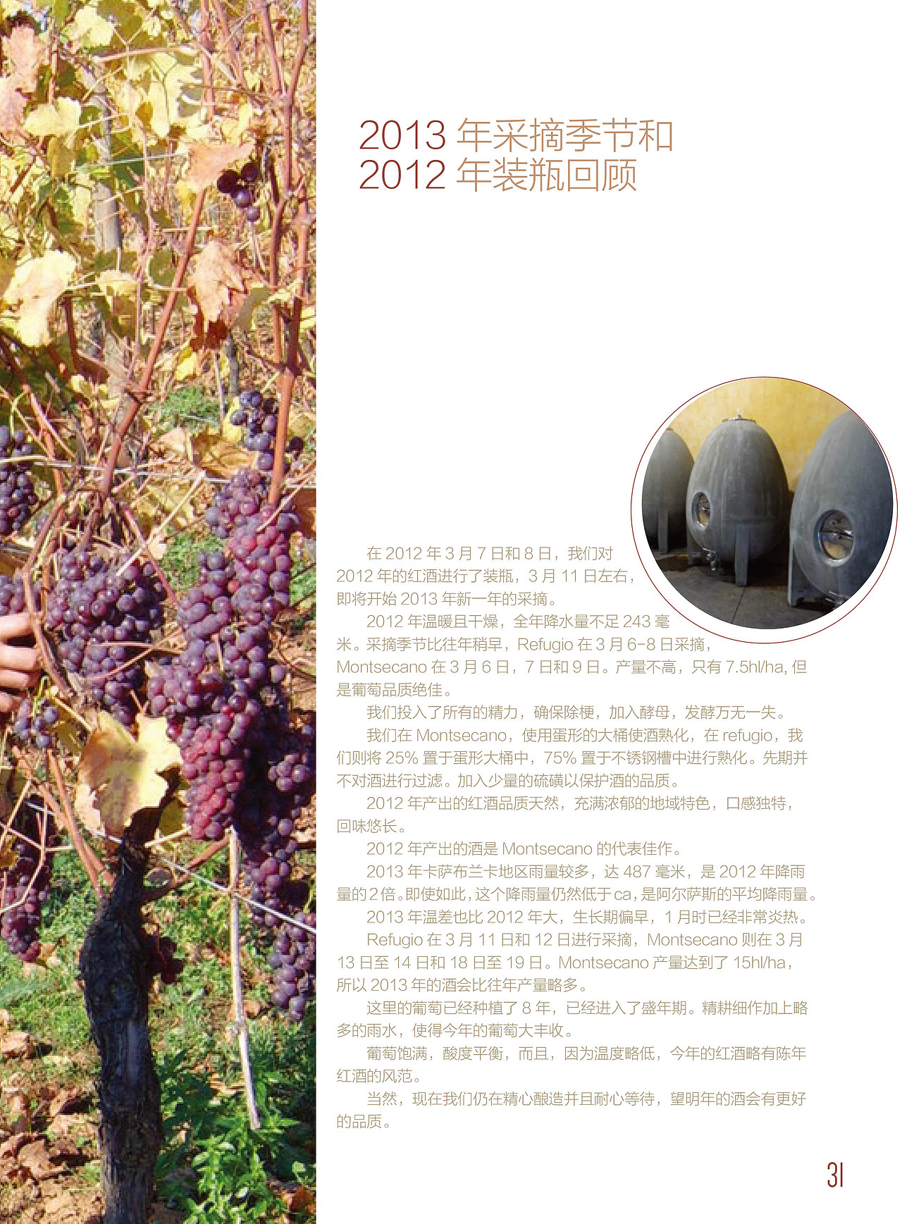La Cava De Laoma智利葡萄酒册（图ZMjUwOTI1ODEy） - 书籍/画册 - 站酷设计师王斌蒂山原创素材 - 站酷ZCOOL