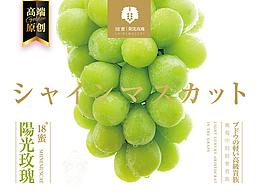 包装设计
