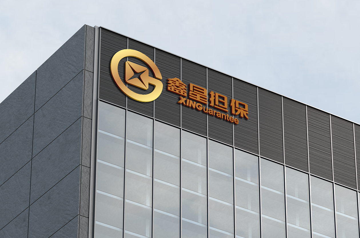 金融行业-鑫星担保LOGO设计