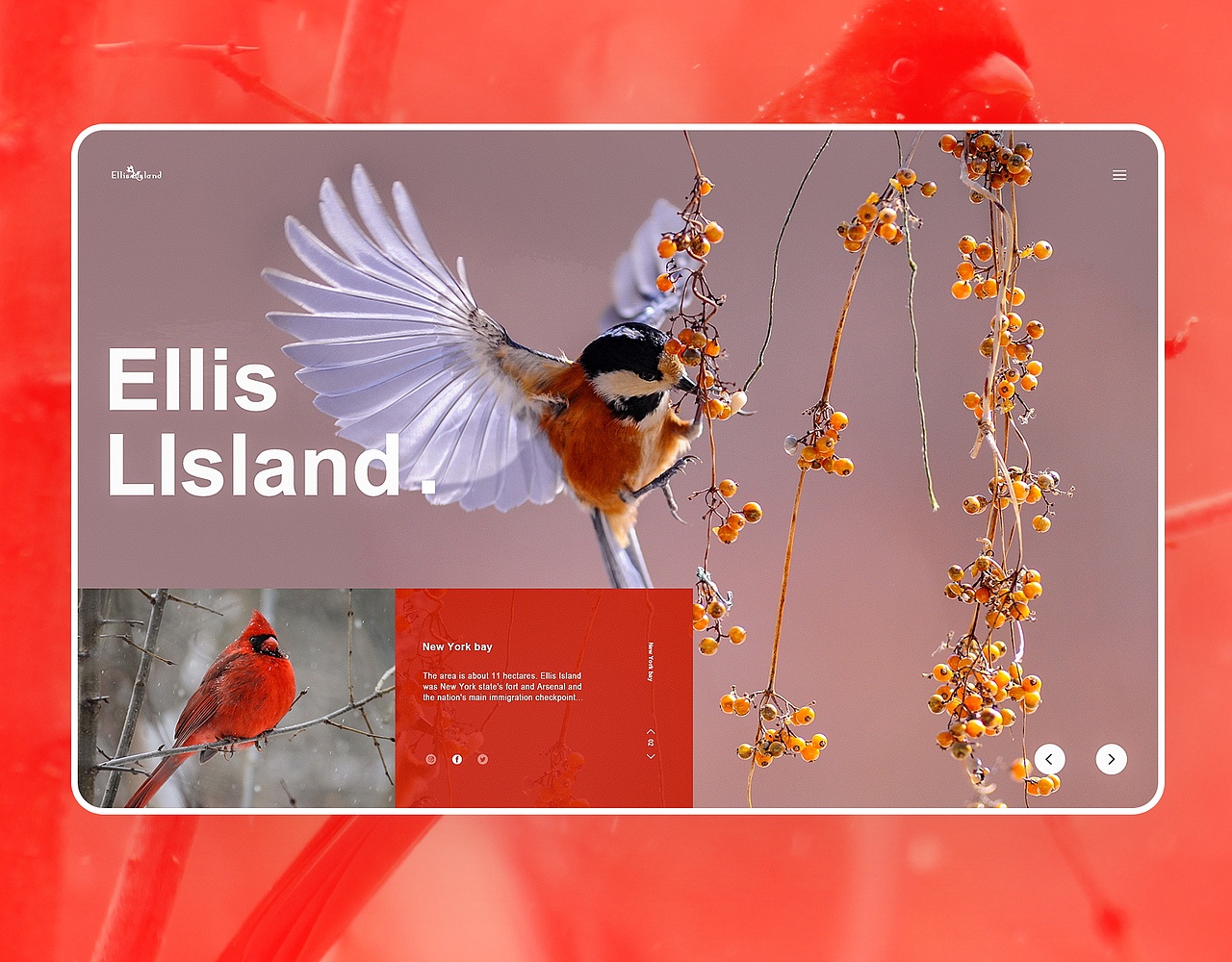 11月网页练习(30张来了!)