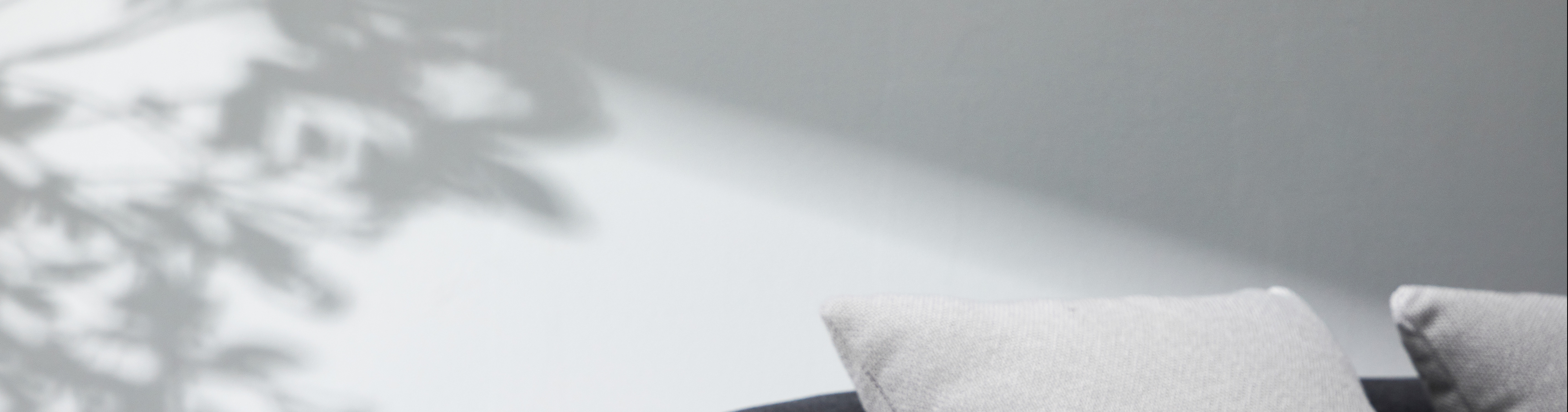 鱼年余余年的个人主页（封面预览） - 主页封面设置 - 站酷设计师鱼年余余年原创素材 - 站酷ZCOOL