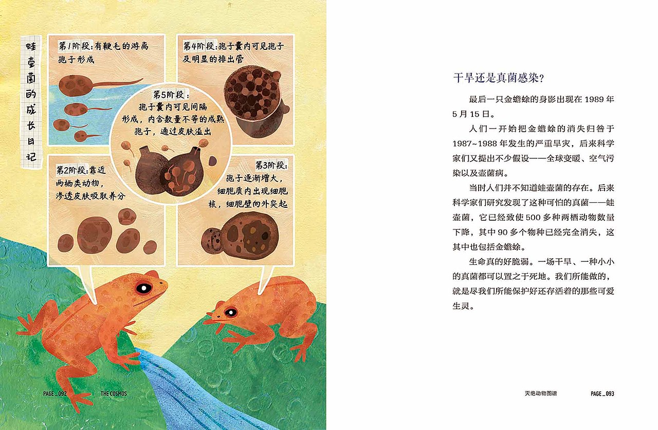 少年轻科普系列《灭绝动物》《细菌王国》书籍插图（图ZMjU2ODE3MDYw） - 儿童插画 - 站酷设计师盆盆盆盆原创素材 - 站酷ZCOOL