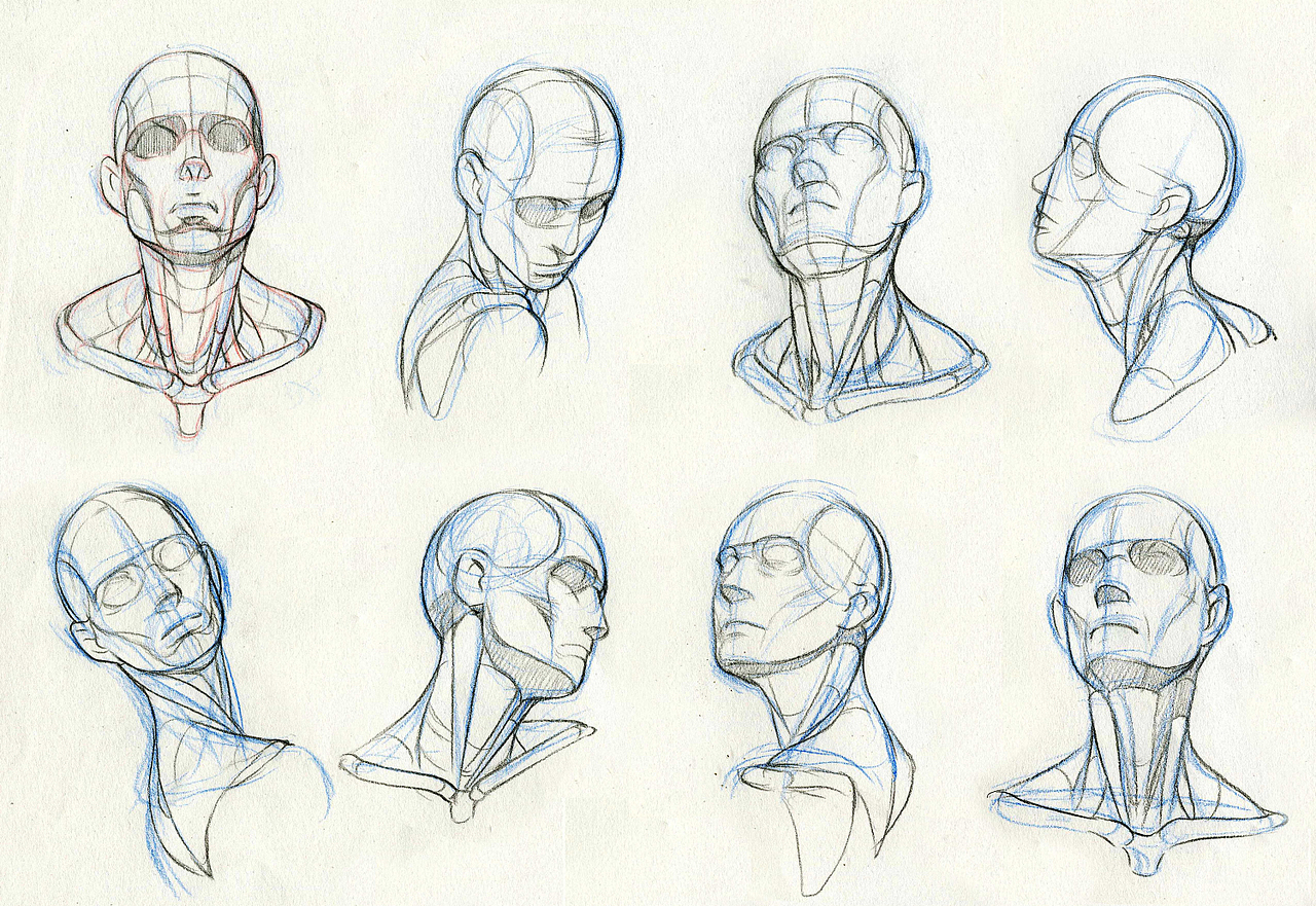 【习作】人体结构基础训练稿（图ZMTI3NDc1ODIw） - 其他动漫 - 站酷设计师画画的春哥原创素材 - 站酷ZCOOL