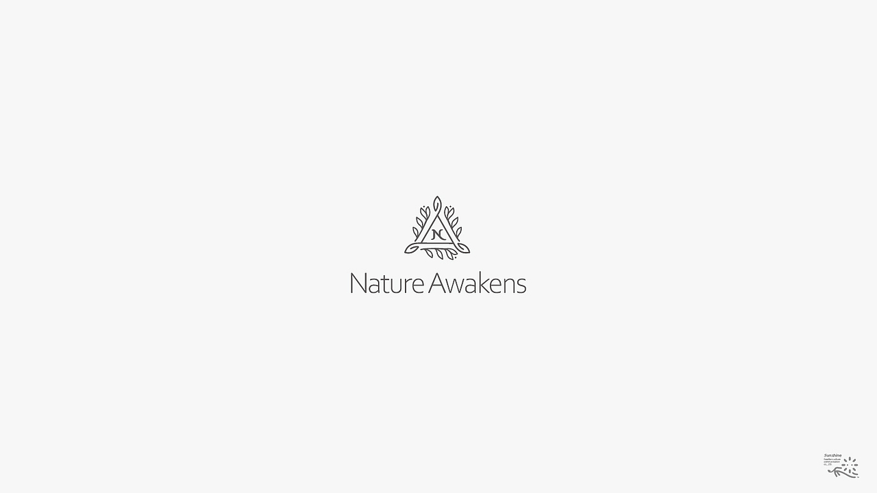 LOGO 电竞LOGO设计 宠物LOGO 科技LOGO 旅游logo vi