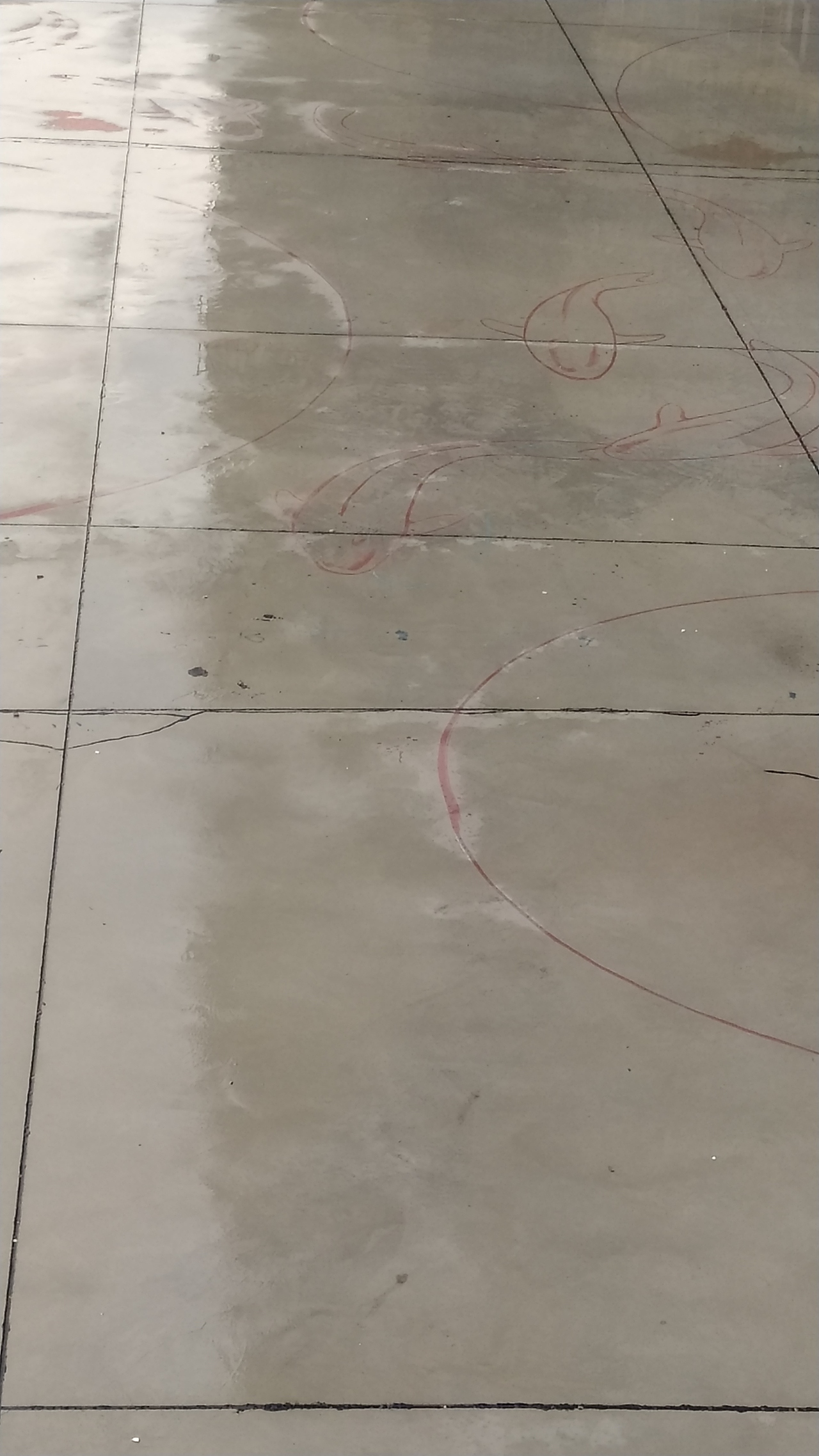 刚开始就大雨,心里够凉的