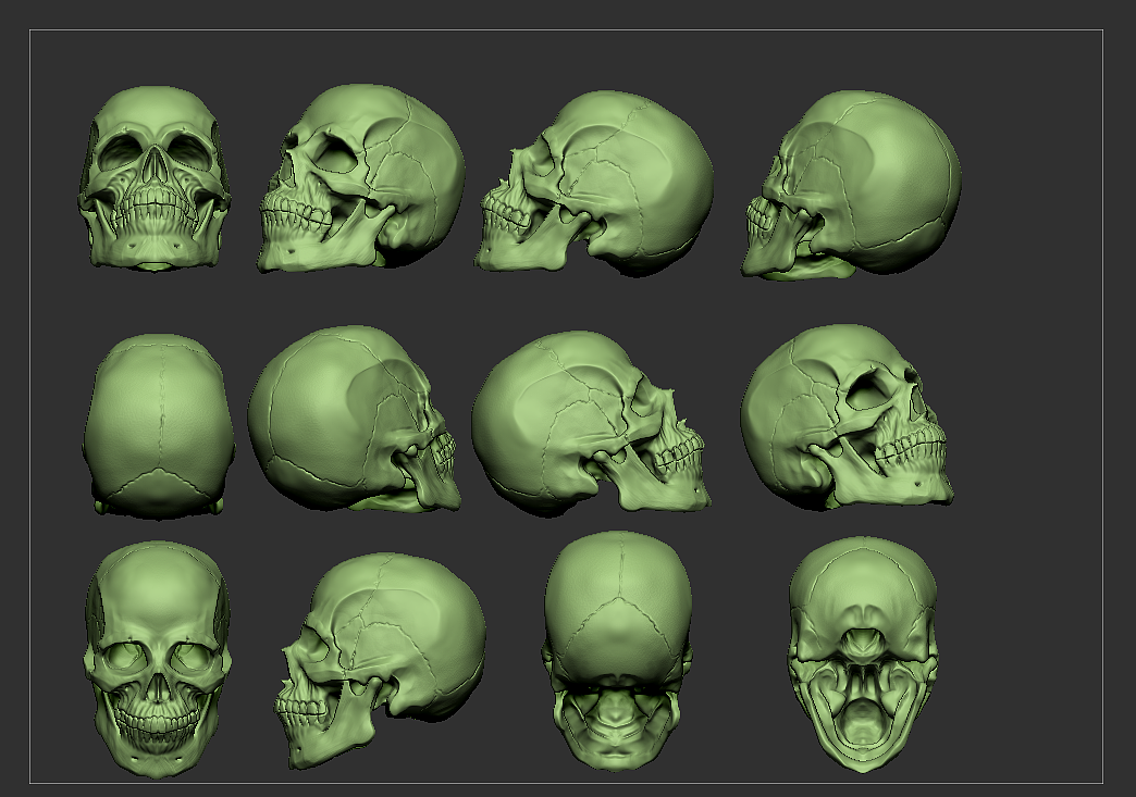 头骨|三维|人物/生物|速度与激情3548 - 原创作品 - 站酷 (zcool)