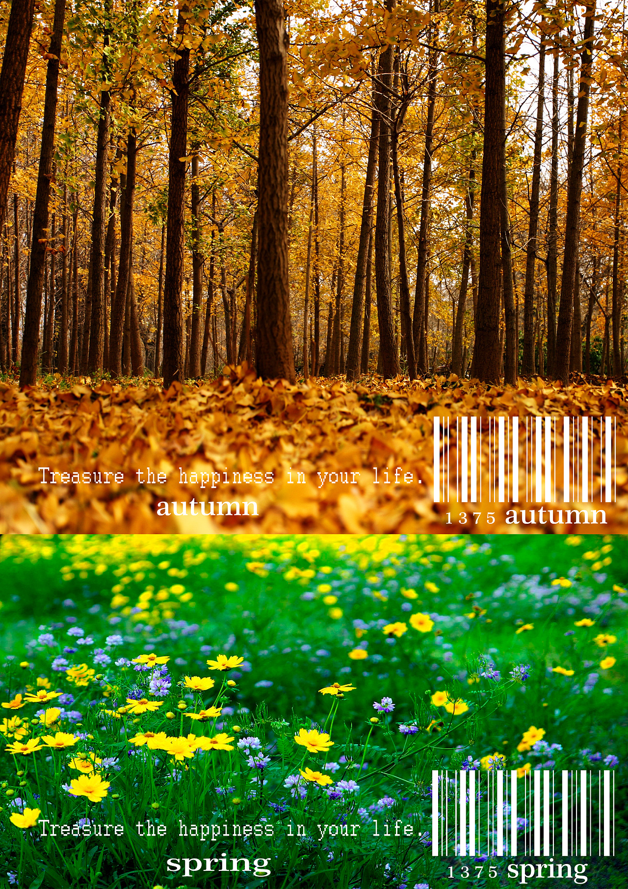 图形创意中的并置关系,图中图片为转载南宁 | 