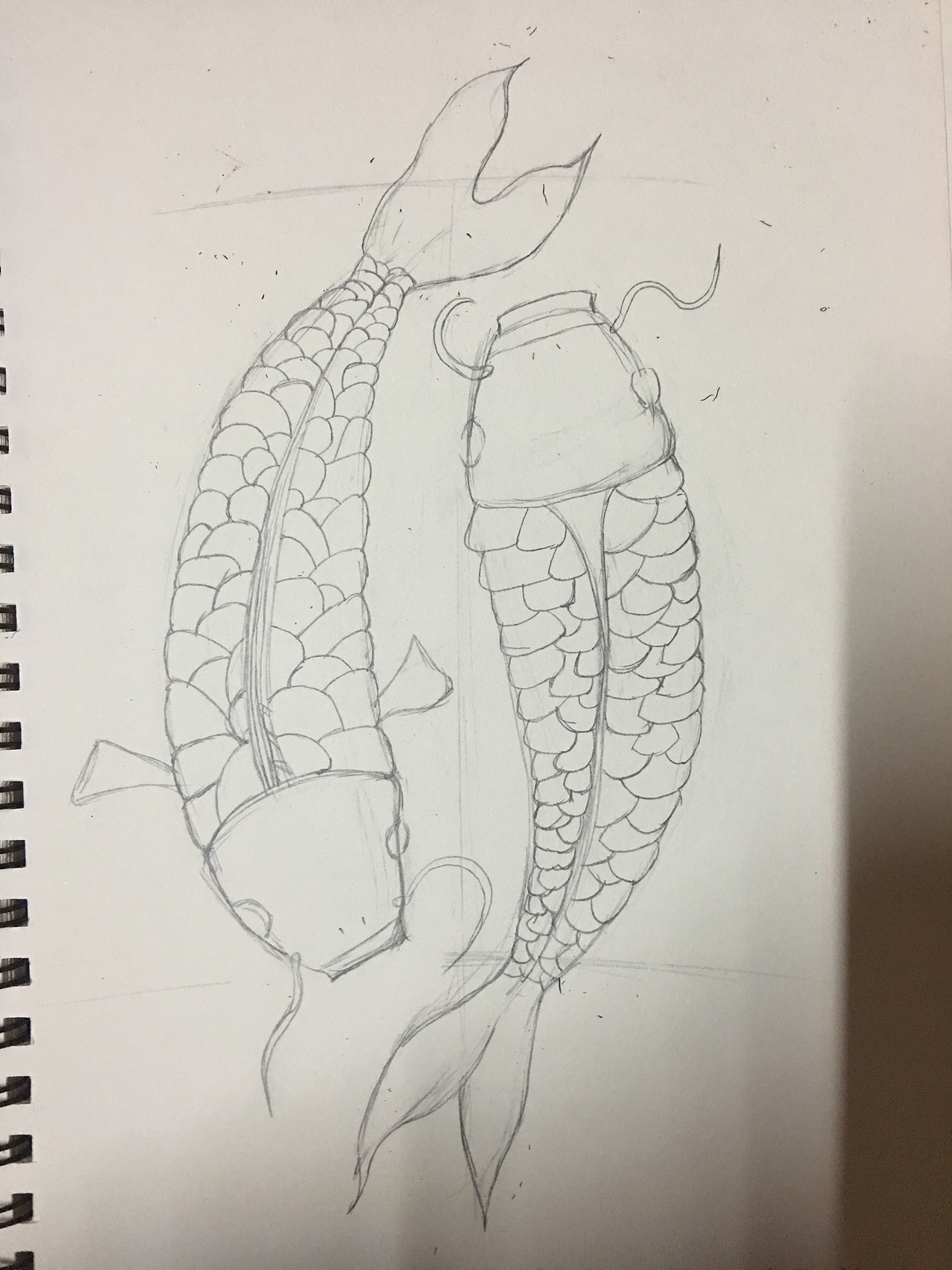 纯手绘锦鲤 年年有鱼 黑白画(临摹 改版)