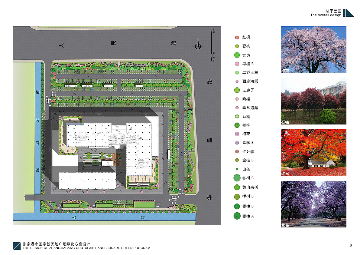 园林景观方案设计TOP3（张家港市国泰新天地广场绿化方案设计）（图ZMjMwOTE5ODQ=） - 书籍/画册 - 站酷设计师YuanMeng杨剑原创素材 - 站酷ZCOOL