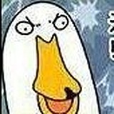 蛋壳鸭的头像