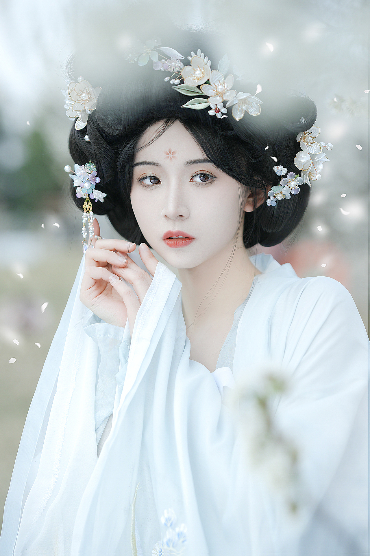 春日樱花|春不迟 相逢会有时