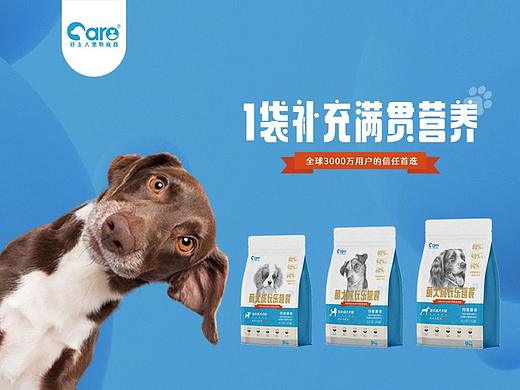 宠物食品全案设计