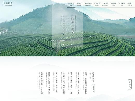 茶籽网页