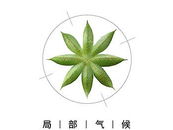 八角