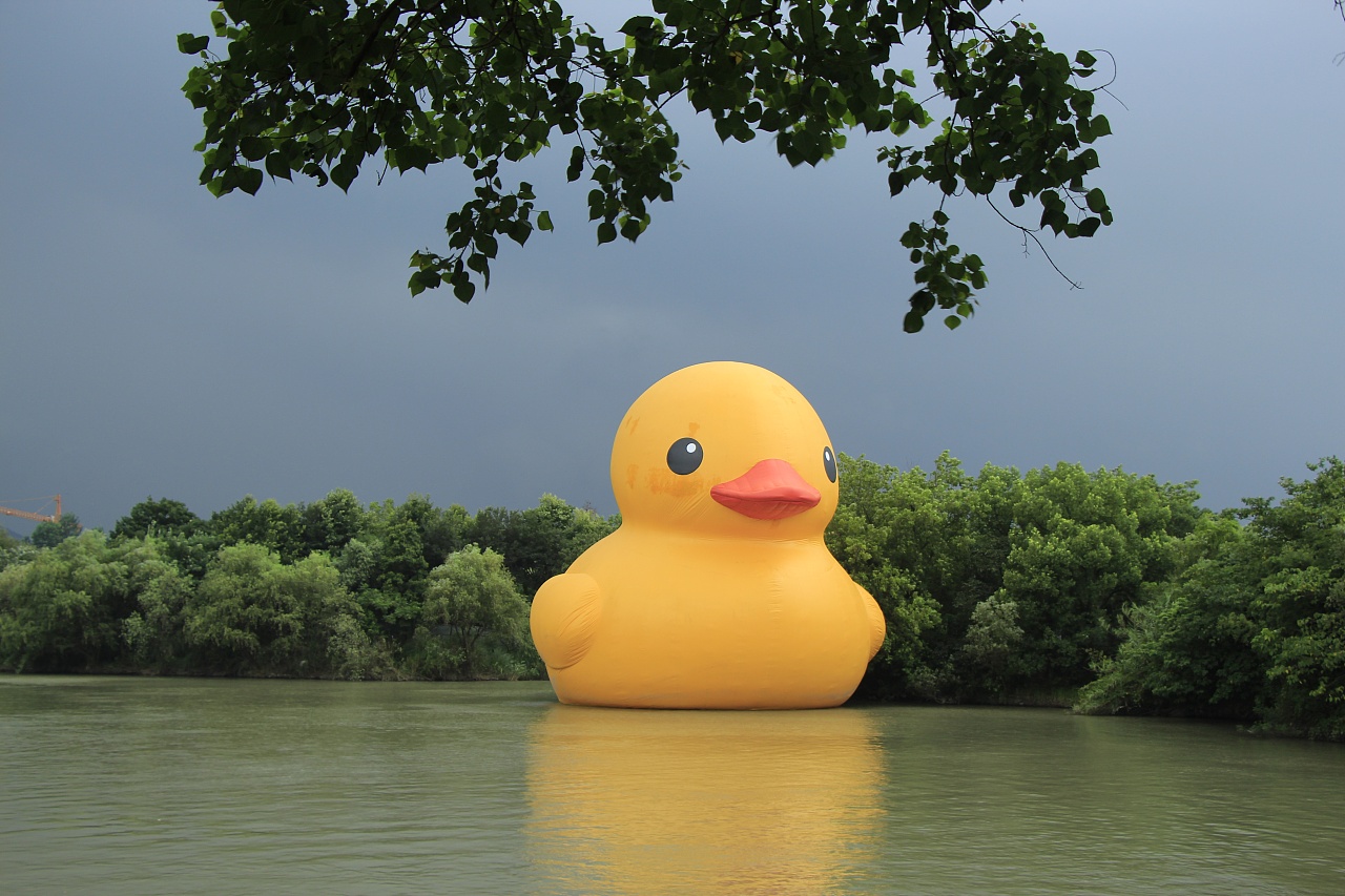 邂逅大黄鸭