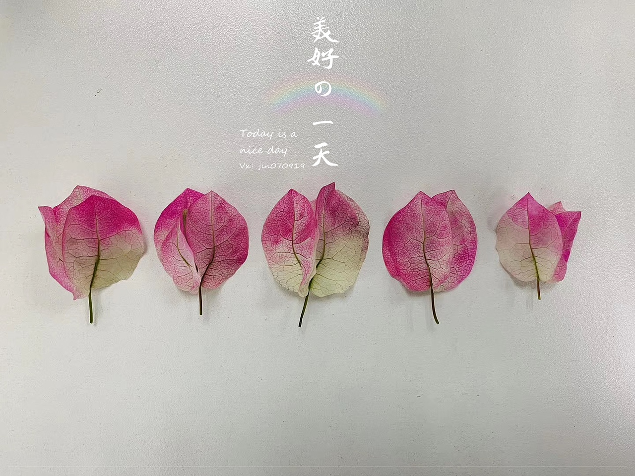旅游随拍（图ZMTU1NjI4Mzk2） - 风光摄影 - 站酷设计师jxs311原创素材 - 站酷ZCOOL