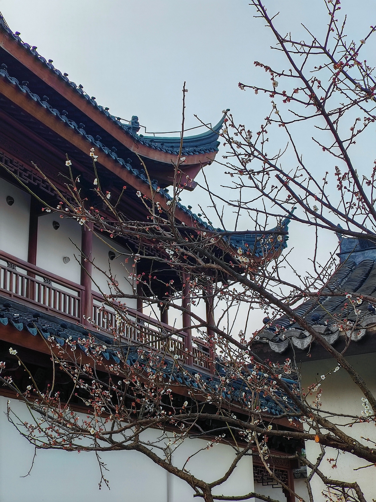 春天（图ZMzMzMjYwODQ0） - 风光摄影 - 站酷设计师晋陌原创素材 - 站酷ZCOOL