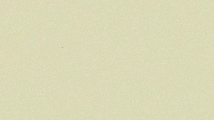 本、硕、博联合培养