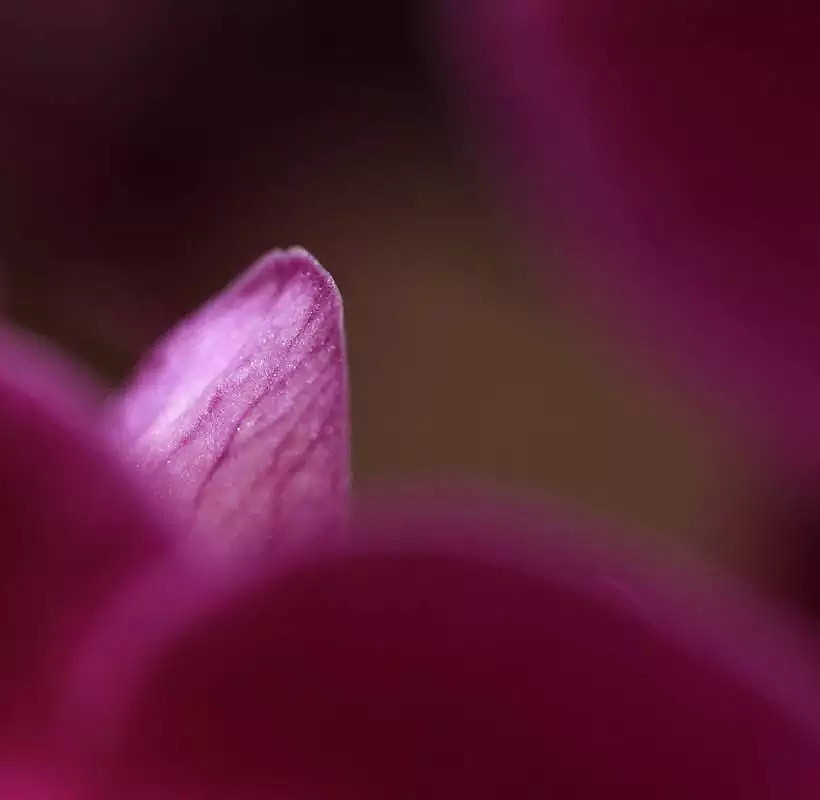 2015的行走-—风景 小品