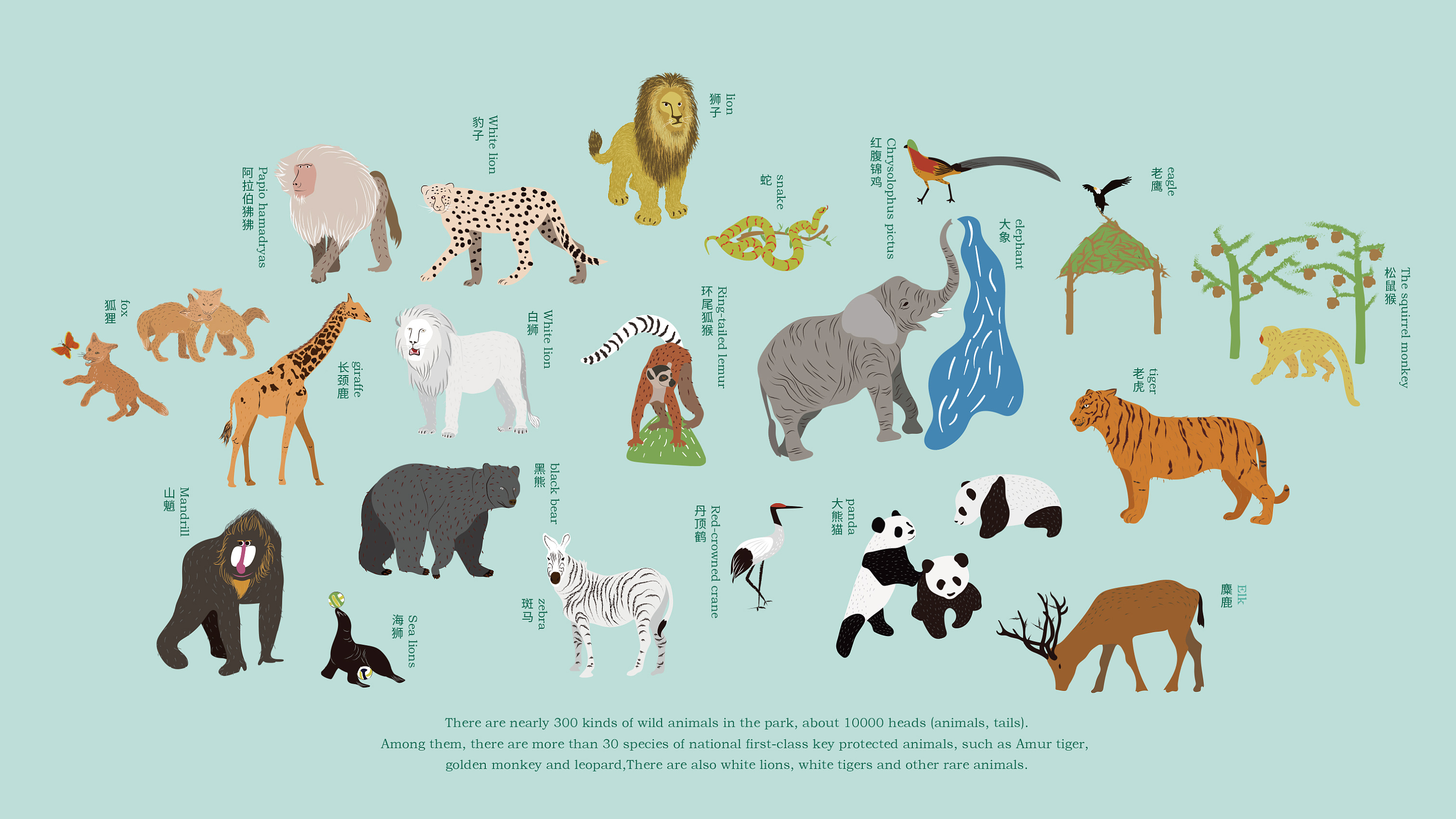 碧峰峡野生动物园案例重整