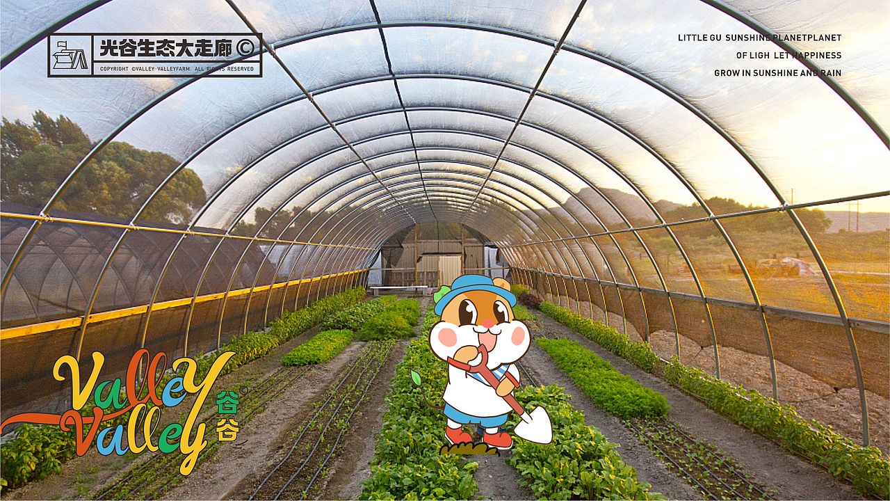 光谷大走廊    IP设计