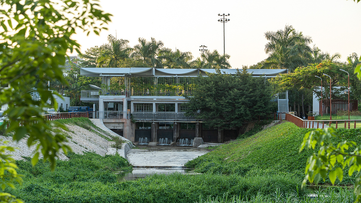 同济原作设计工作室 深圳西丽水库排洪渠段绿道设计