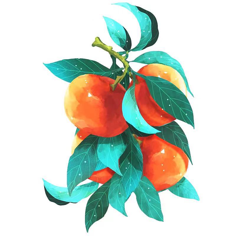 包装设计之沃柑