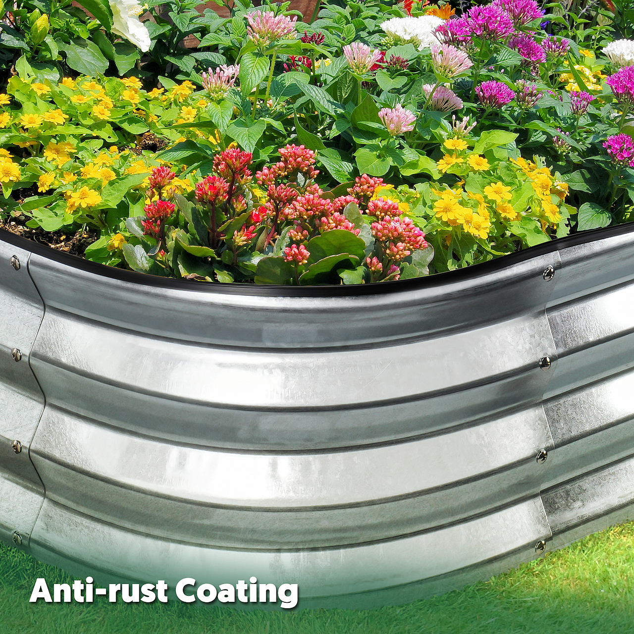 园艺产品-地面花床