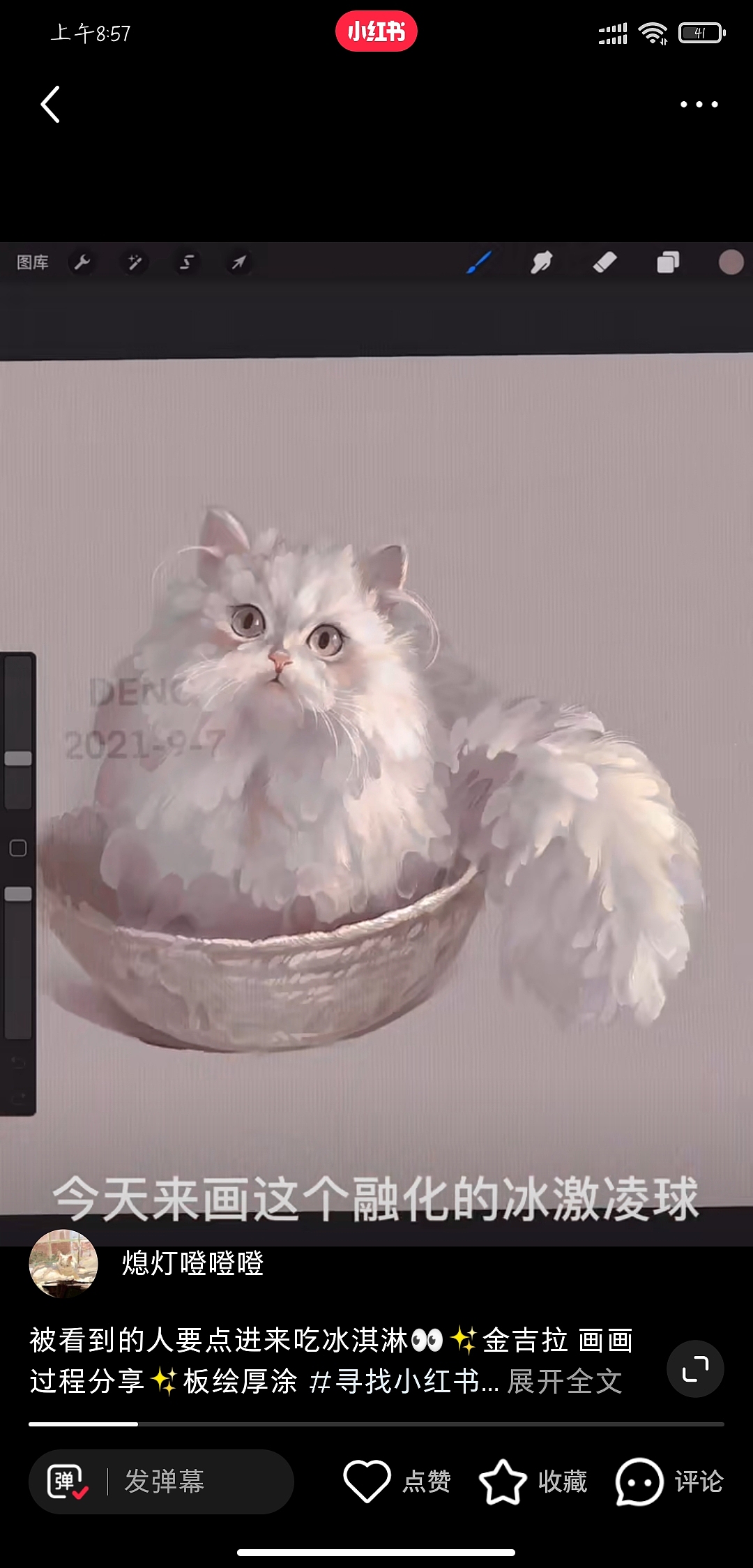 宠物约稿金吉拉