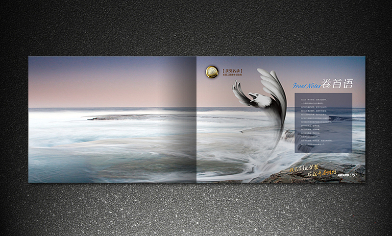 团省委 江苏青年创业奖 金银铜奖获奖名录 画册 灰机稿（图ZMjk3MjE2NA==） - 其他平面 - 站酷设计师icanfay原创素材 - 站酷ZCOOL