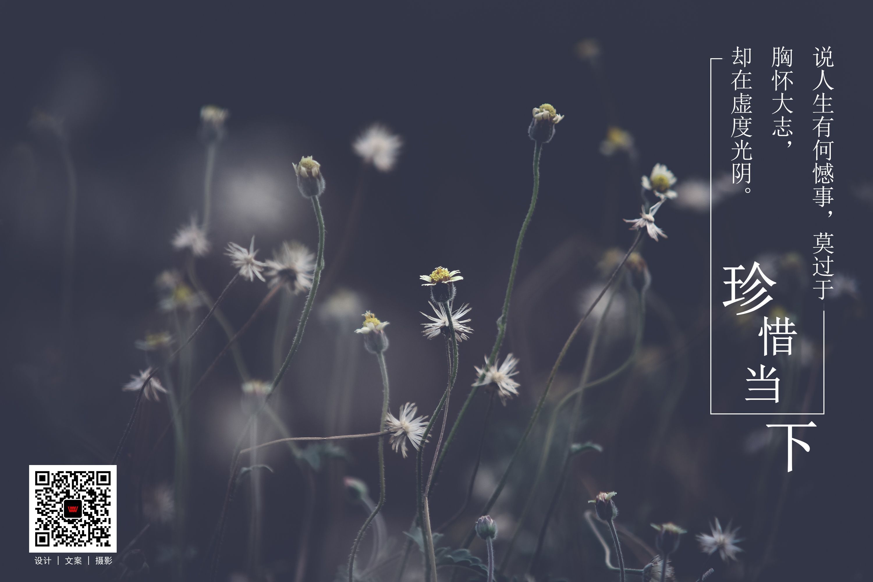 胸怀大志却又虚度光阴