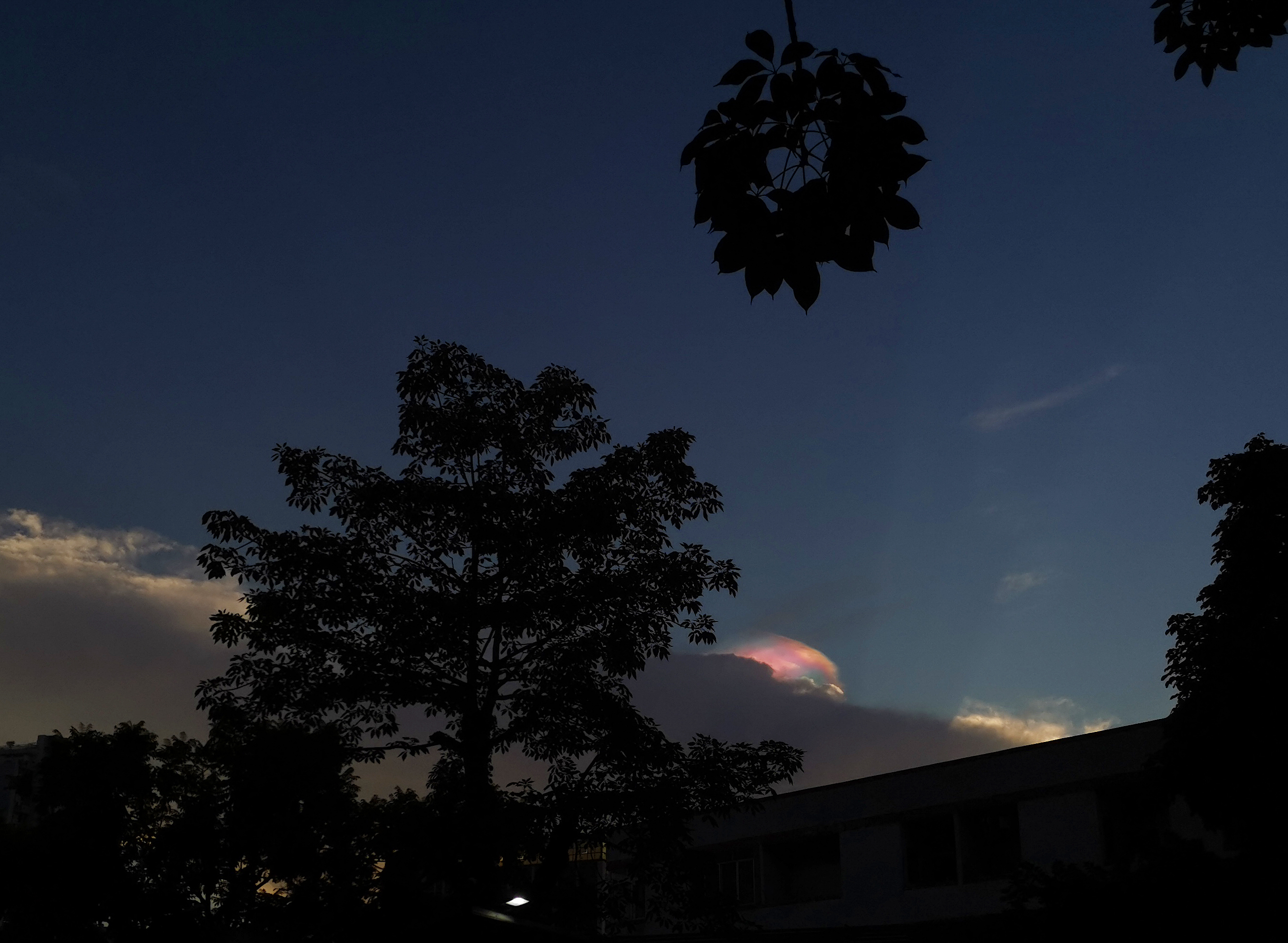 CHWanER的個(gè)人主頁(yè)（封面預(yù)覽） - 主頁(yè)封面設(shè)置 - 站酷設(shè)計(jì)師CHWanER原創(chuàng)素材 - 站酷ZCOOL