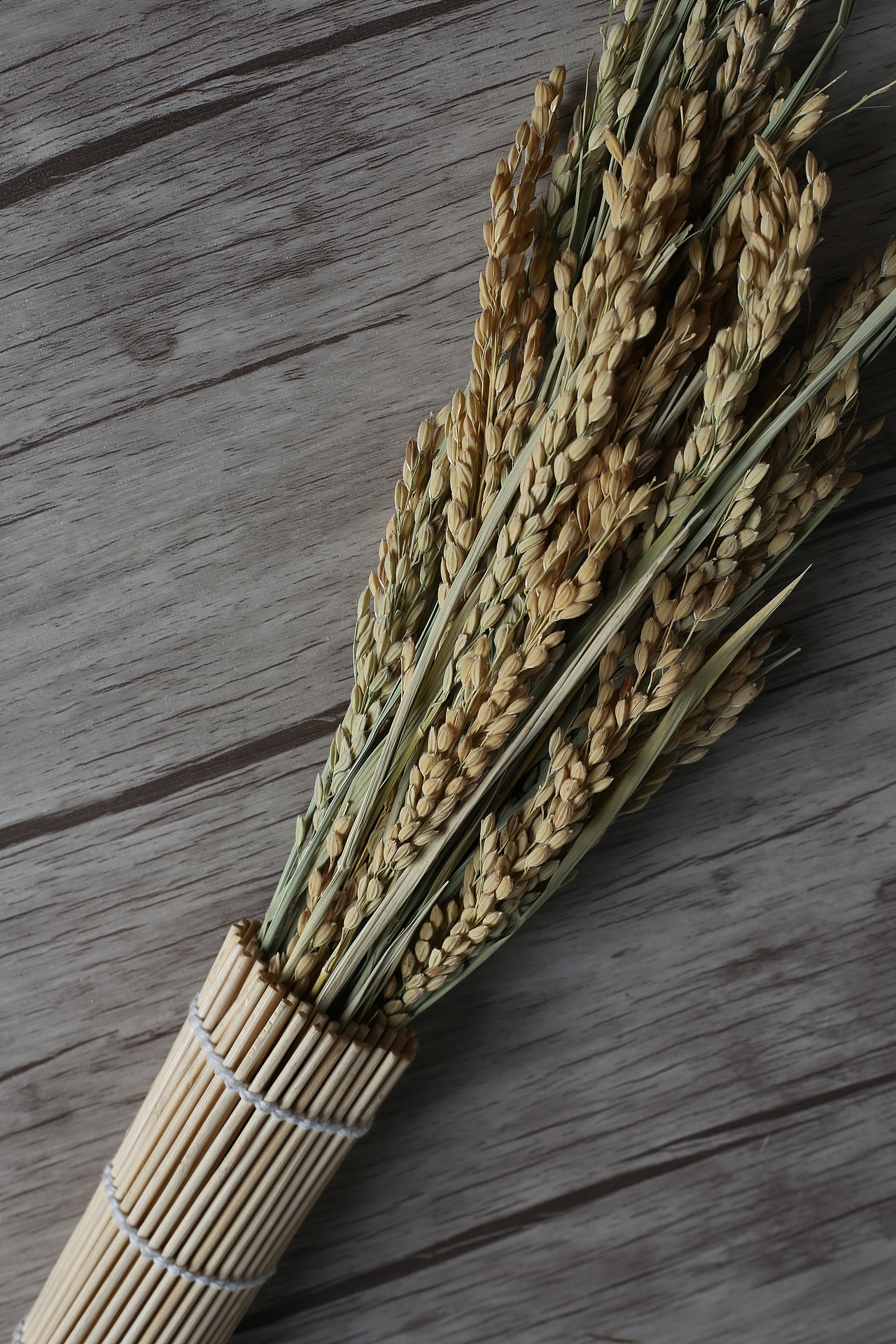 大米（图ZMzc5NzMwODA=） - 产品摄影 - 站酷设计师周大富80原创素材 - 站酷ZCOOL