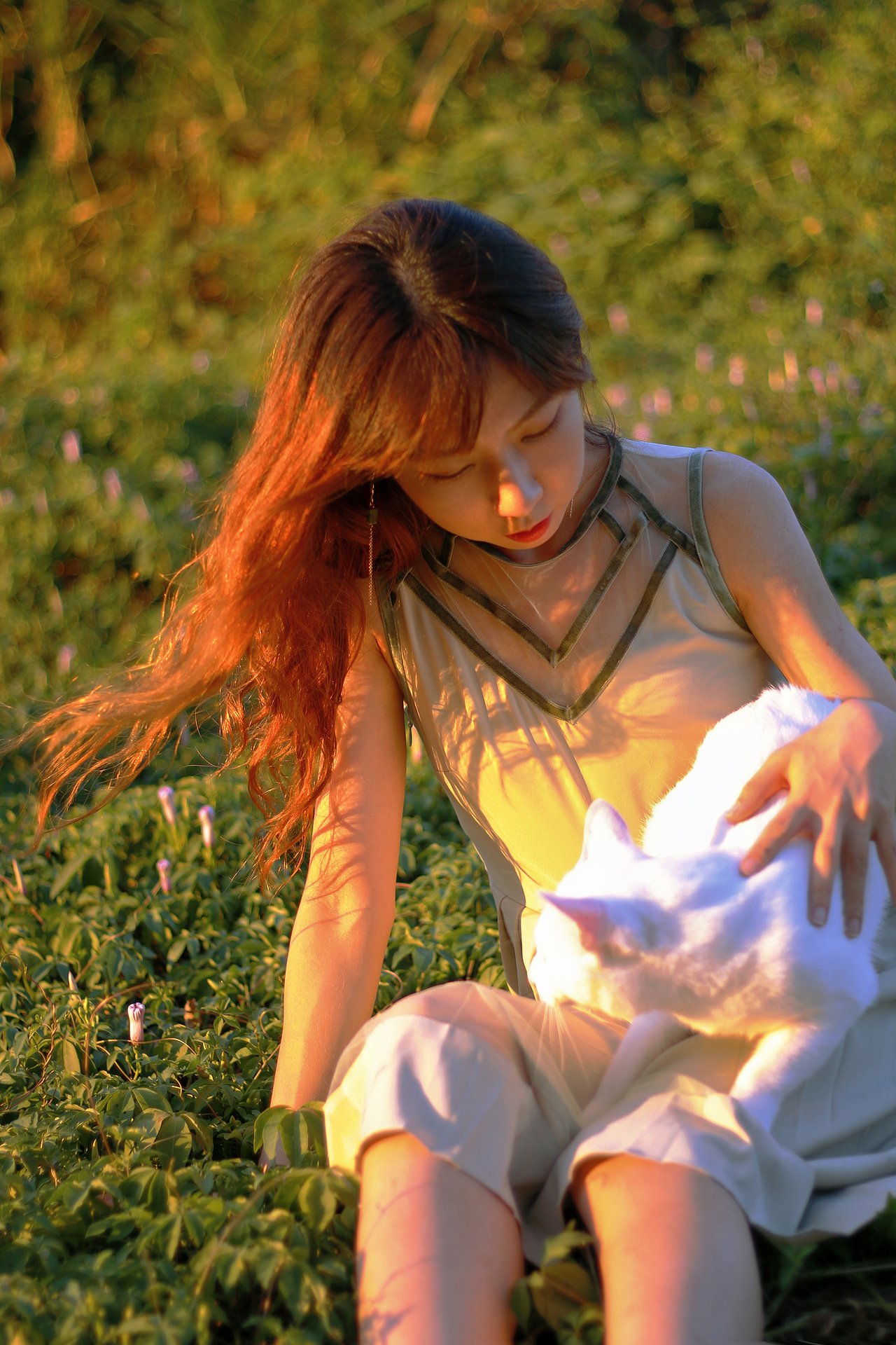 被遗弃的草地和被救赎的猫|摄影|人像摄影|fongmingfai丶_原创作品