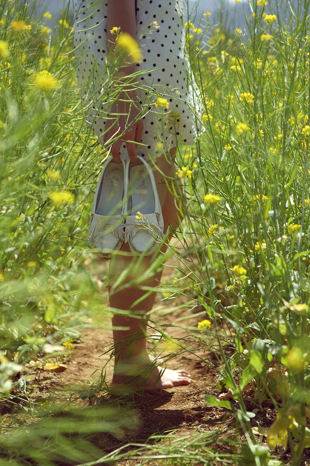 2011_05_22 梁/油菜花