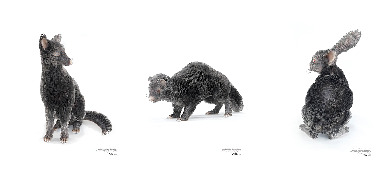 抵制皮草公益广告《千针万痛》（图ZMjE0MTAwNDY4） - 产品摄影 - 站酷设计师摄影师惠晶原创素材 - 站酷ZCOOL