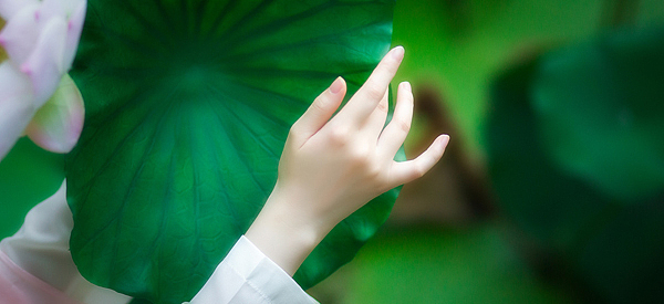 芙蓉面（图ZNTg4NDQ5MjA=） - 人像摄影 - 站酷设计师乔巴飞飞飞原创素材 - 站酷ZCOOL