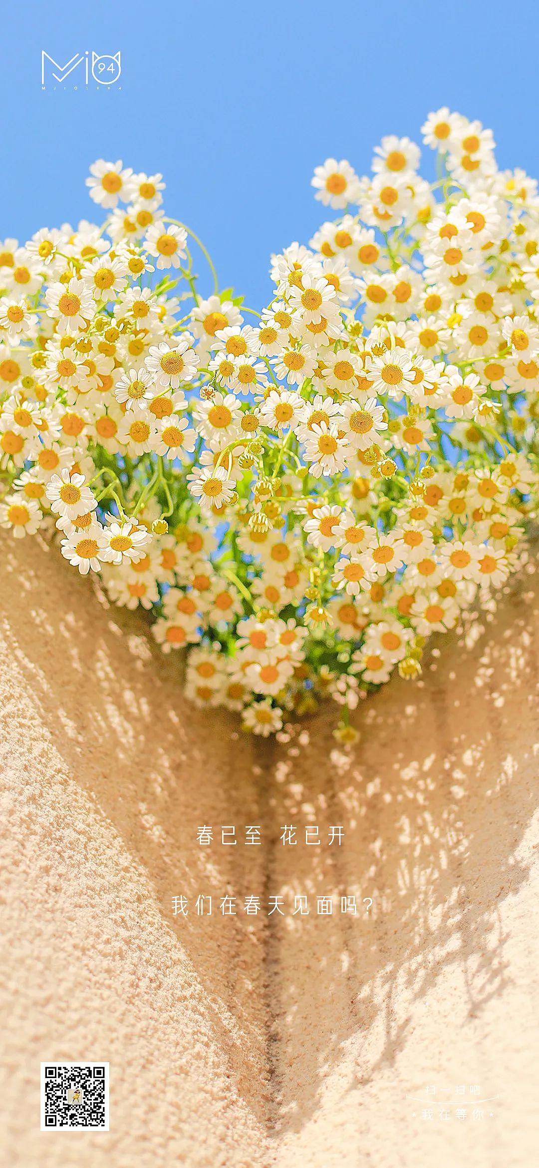 这些小美好·FIFTEEN