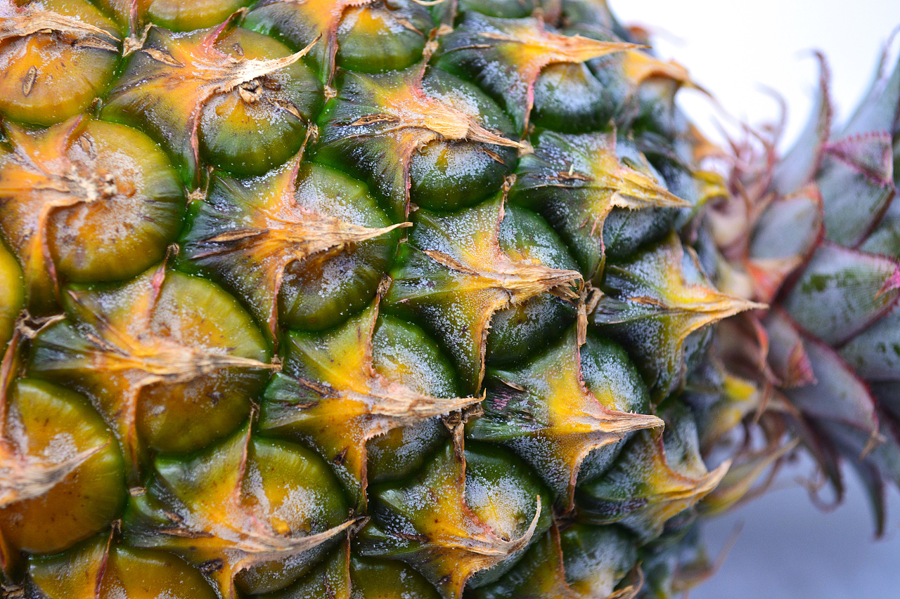 台湾金钻凤梨/水果/菠萝