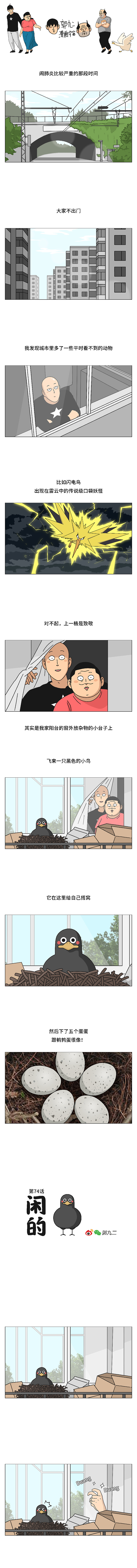 被一只鸟记仇是什么体验？（图ZMjA3ODI4NjM2） - 中/长篇漫画 - 站酷设计师郭九二原创素材 - 站酷ZCOOL