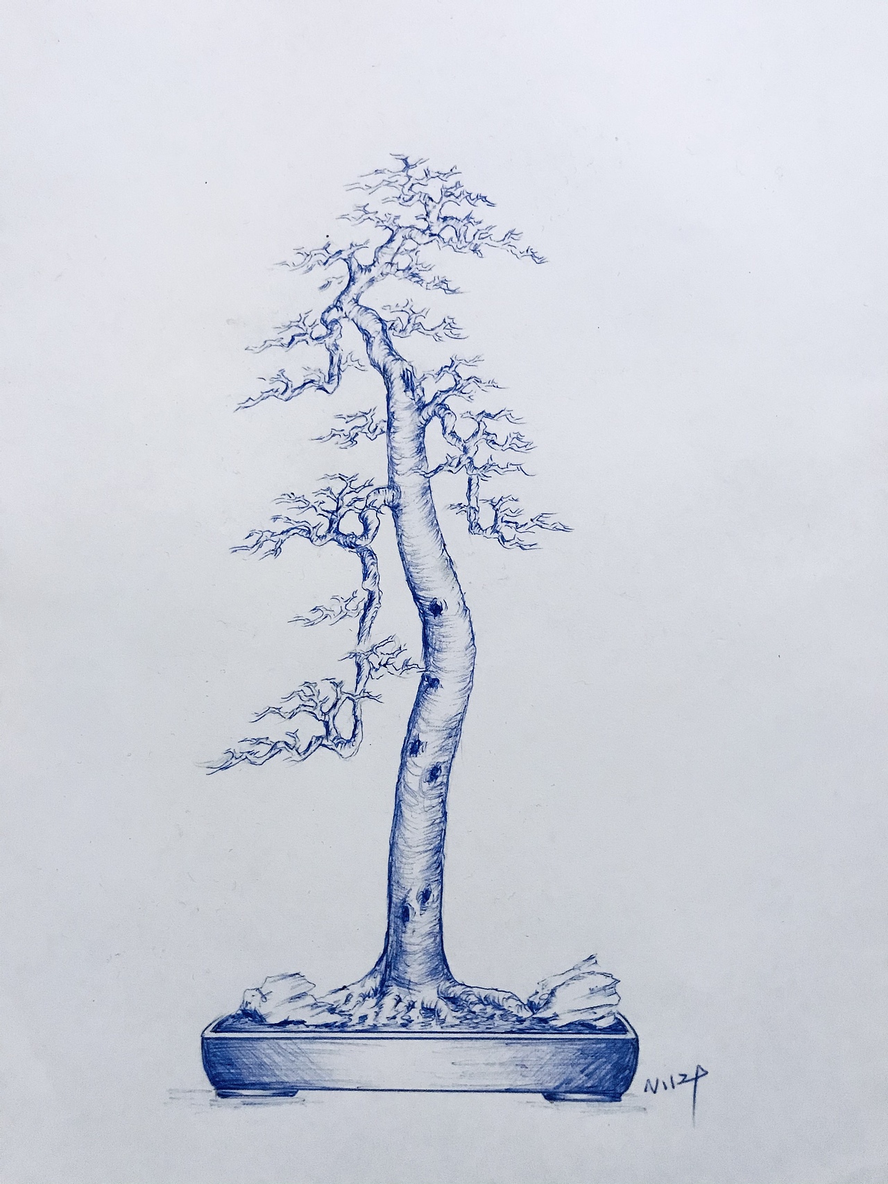 盆景（图ZMjUzMzMyMzY4） - 绘画 - 站酷设计师Z75835907原创素材 - 站酷ZCOOL